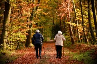 elderly-people-5775209_1920.jpg elderly-people-5775209_1920.jpg